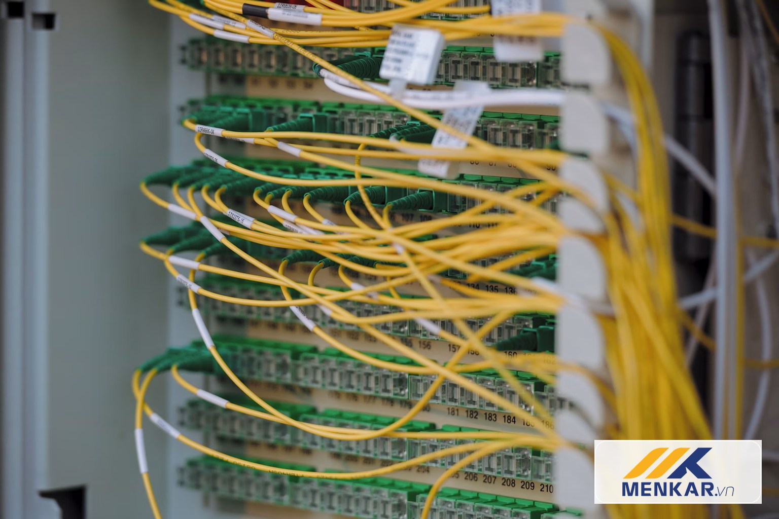 Lắp Mạng LAN Công Ty – Giải Pháp Hạ Tầng Công Nghệ Ổn Định Cho Doanh Nghiệp Hiện Đại – hình ảnh MENKAR 1